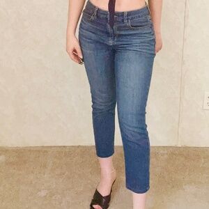 American Eagle next level STRETCH capri Jeggins